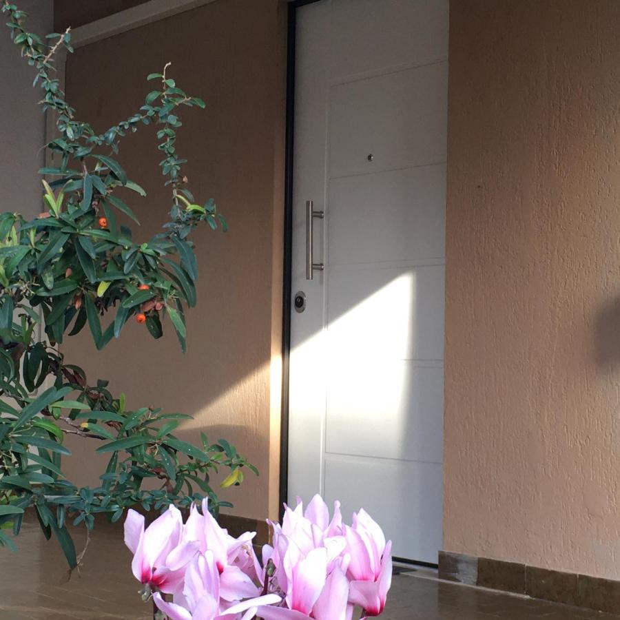 Casa Di Lucia B&B Ladispoli Exterior photo